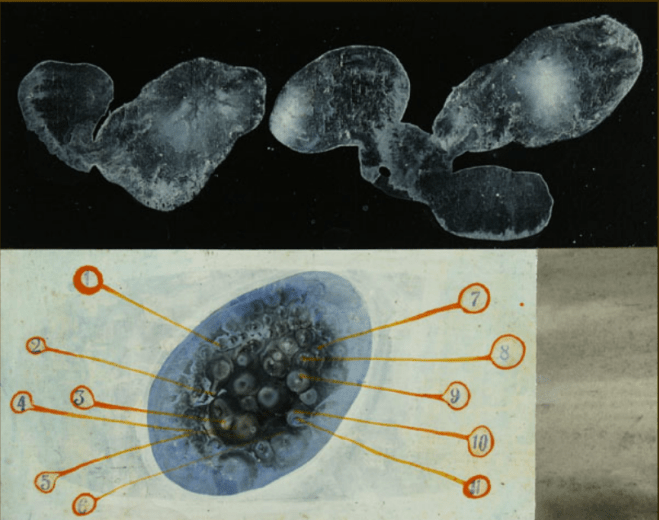 Episodio sincrónico 7