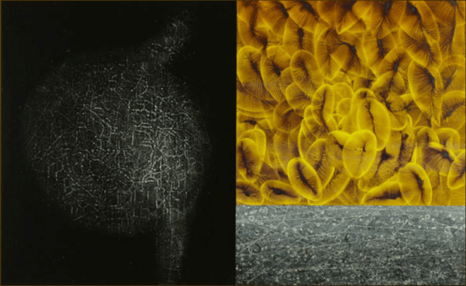 Episodio sincrónico2