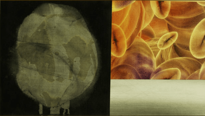 Episodio sincrónico4