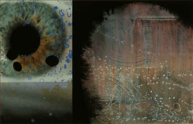 Episodio sincrónico6