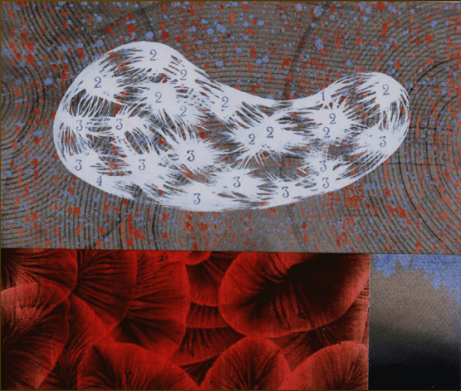 Episodio sincrónico8