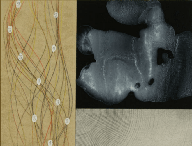 Episodio sincrónico9