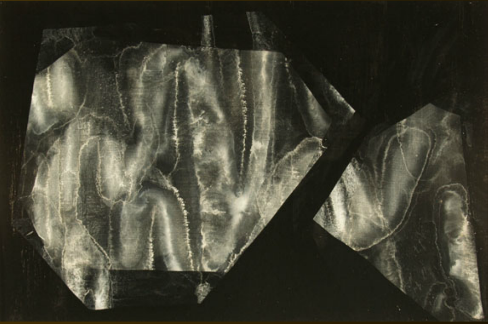 Luz líquida tras la malla