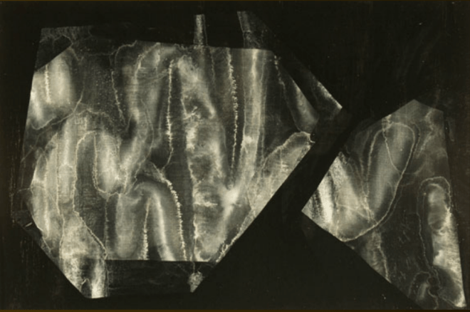 Luz líquida tras la malla