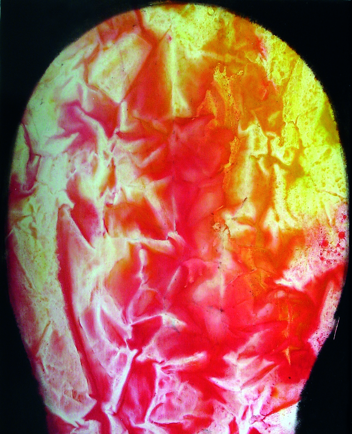 Retrato de hombre pétalo Plácido Romero